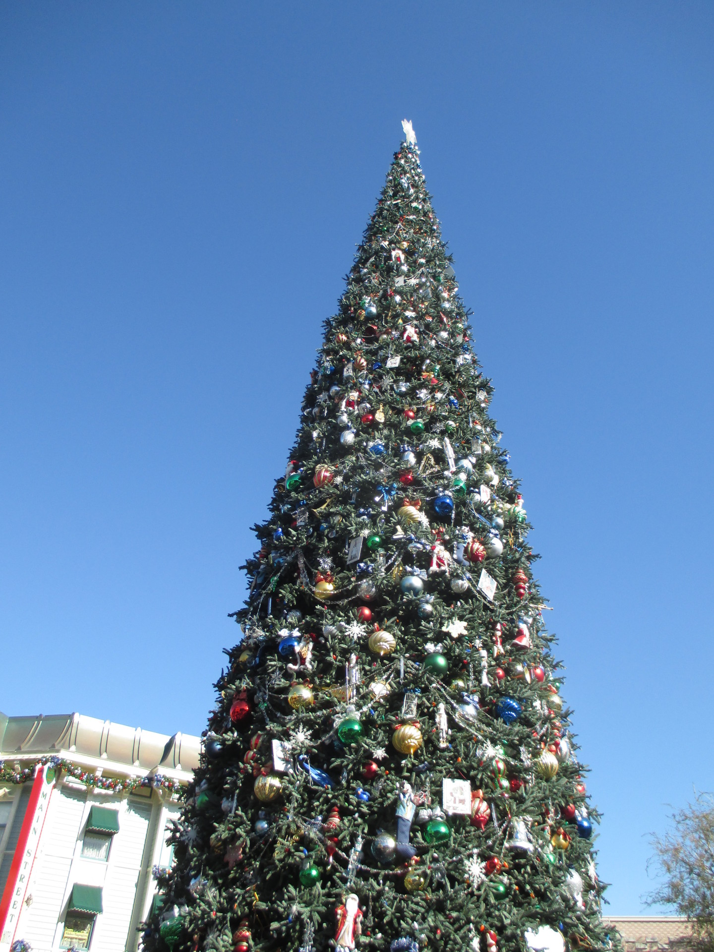A Christmas Tree in Anaheim on a trip to Disneyland .